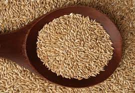 Grano Alpiste
