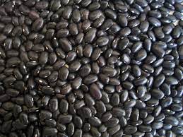Grano Frijol Negro