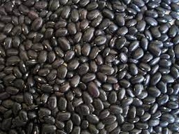 [CT005] Grano Frijol Negro