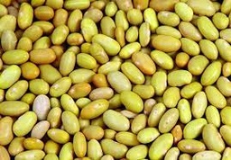 [CT006] Grano Frijol Peruano