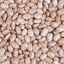 [CT007] Frijol Pinto Frontier